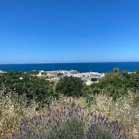 V12 Puglia Bed & Breakfast *